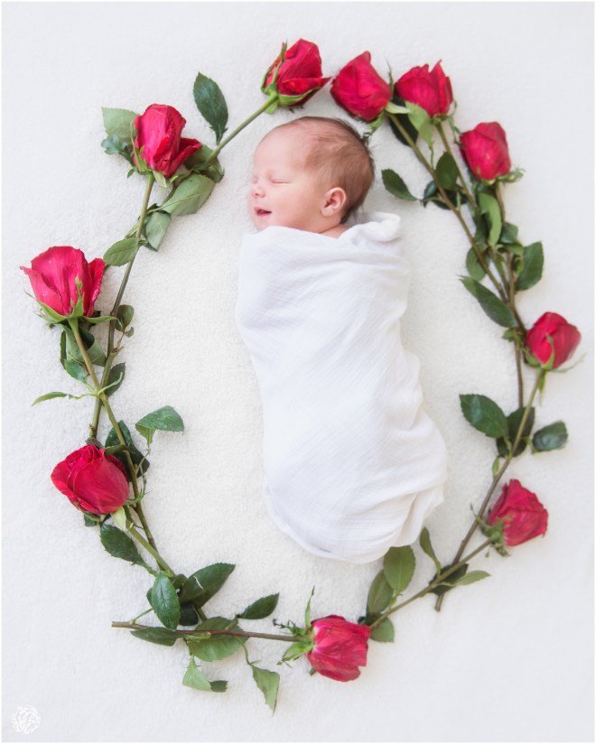 Yana's Photos Family Photographer_0067.jpg Yana's Photos Family Photographer_0067.jpg