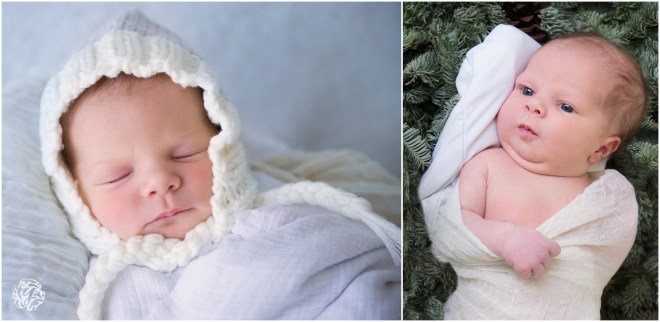 Yana's Photos Family Photographer_0069.jpg Yana's Photos Family Photographer_0069.jpg