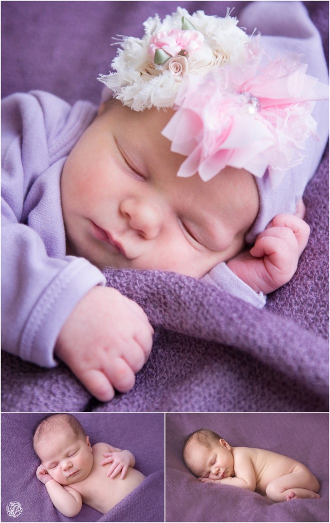 Yana's Photos Family Photographer_0071.jpg Yana's Photos Family Photographer_0071.jpg