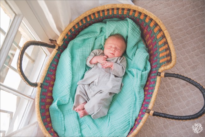 Jack - Yana's Photos Los Angeles Family Photographer.jpg