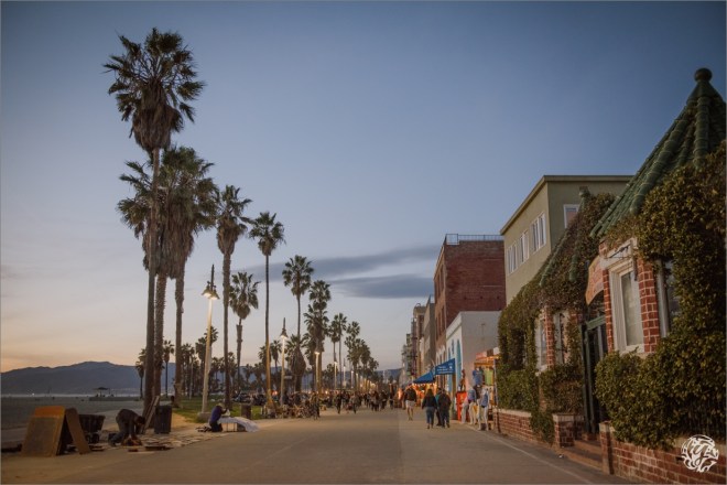 Yana's Photos - Venice Beach Photography10.jpg