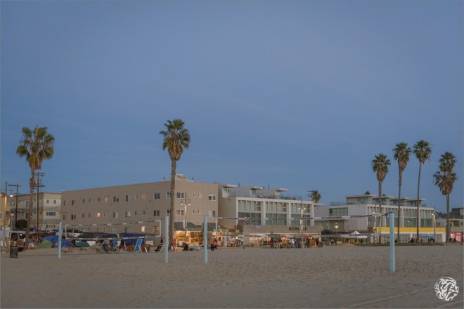 Yana's Photos - Venice Beach Photography9.jpg